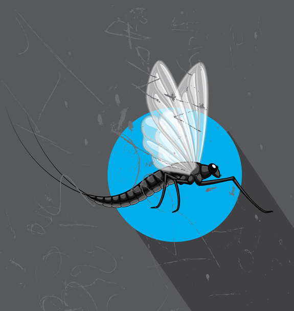 Lentävä Mayfly-hyönteinen
 - Vektori, kuva