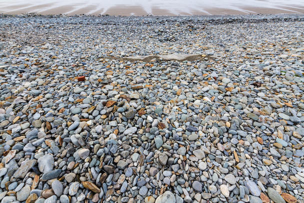 Playa pedregosa en marea baja
 - Foto, Imagen