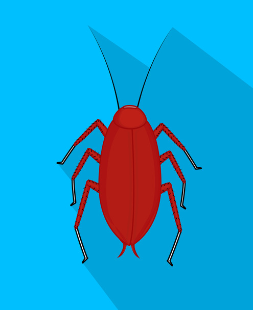 Rode kakkerlak Vector - Vector, afbeelding