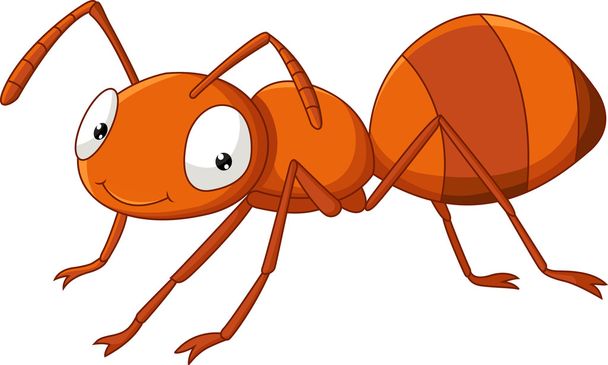 Niedliche Ameisenkarikatur - Vektor, Bild