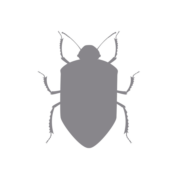 Beetle Insect Vector Shape - Vector, Image