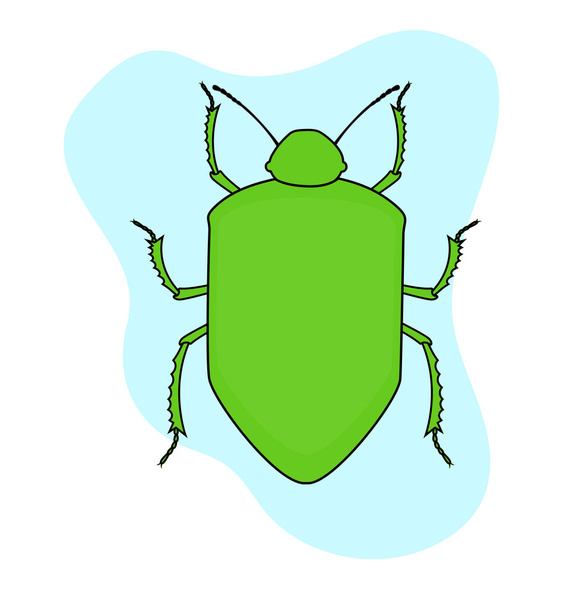 Grüner Käfer-Insektenvektor - Vektor, Bild