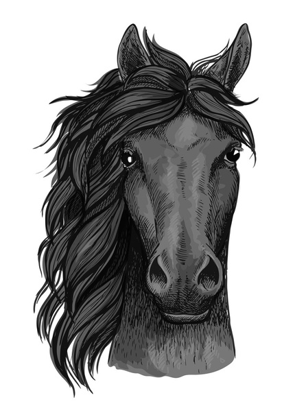 Siyah kuzgun atı tam yüz sanatsal portre - Vektör, Görsel