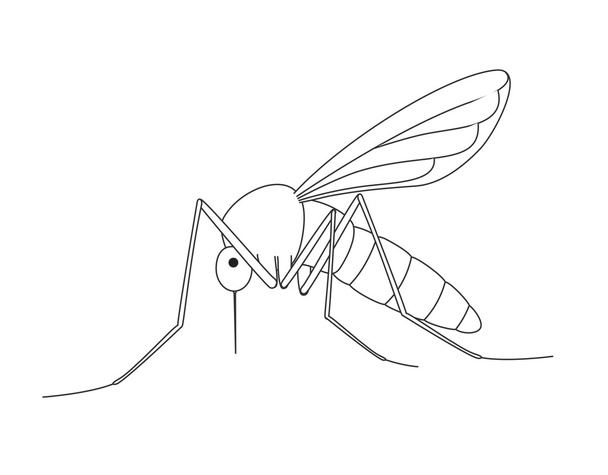 Vektorové kreslení komár - Vektor, obrázek