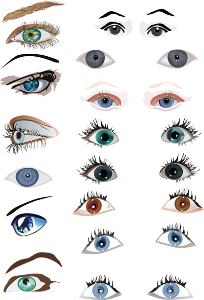 conjunto de olhos isolados no fundo branco
 - Vetor, Imagem