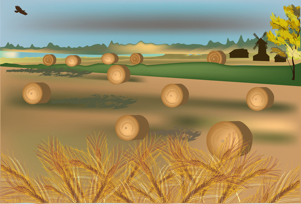 Zlatá pšenice sklizeň ilustrace - Vektor, obrázek
