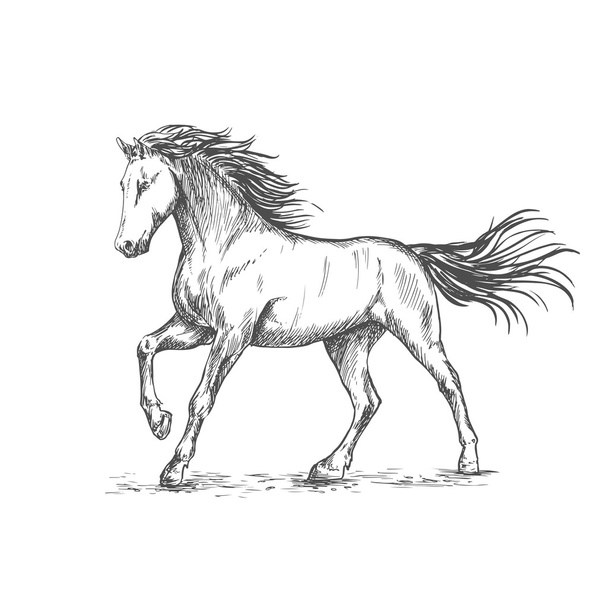 White horse with stamping sketch portrait - Vektor, kép