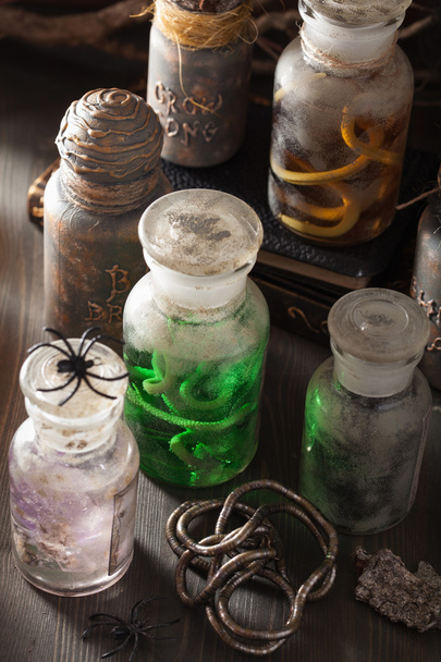 witch apothecary jars magic potions halloween decoration - Foto, imagen