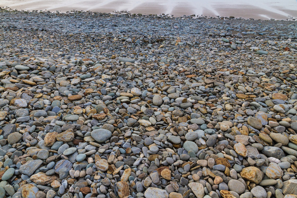 Spiaggia rocciosa con bassa marea
 - Foto, immagini