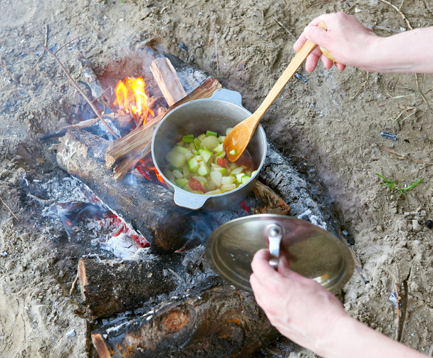cooking on fire at picnic, food prepared in pot on wood, potatoes and tomatoes, healthy vegetarian food, woman hands with spoon - 写真・画像