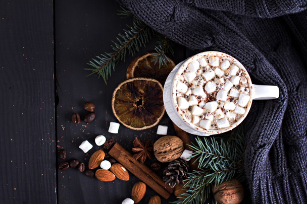 Cacao chaud avec guimauves - Photo, image