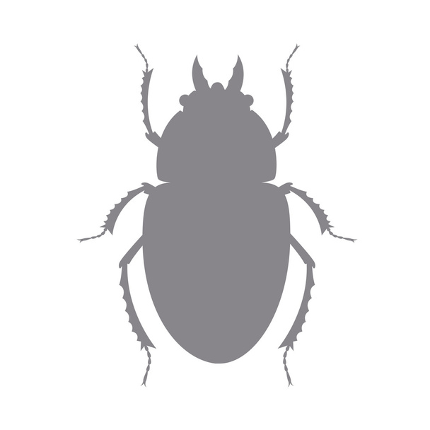 カブト虫のビートルの形 - ベクター画像