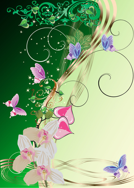 orchideák és öt pillangók, zöld - Vektor, kép
