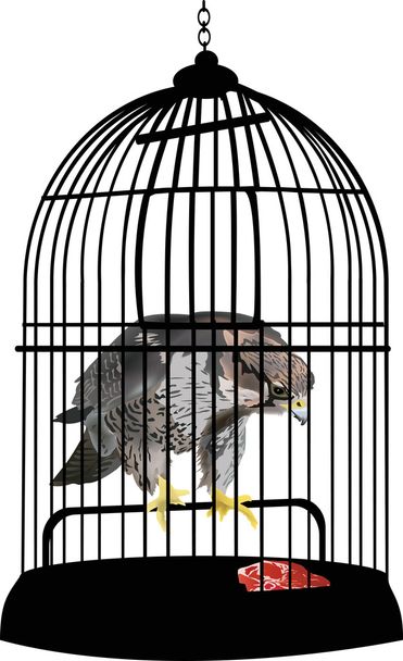 águila en jaula ilustración
 - Vector, Imagen