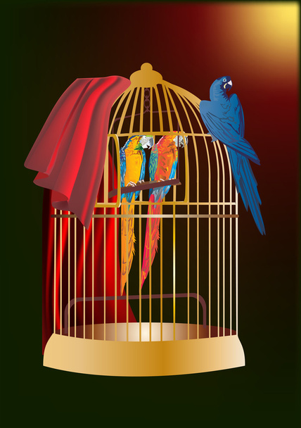 trois perroquets en cage
 - Vecteur, image