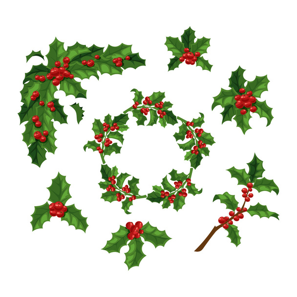 Christmas berry decoration vector set. - Vector, Image