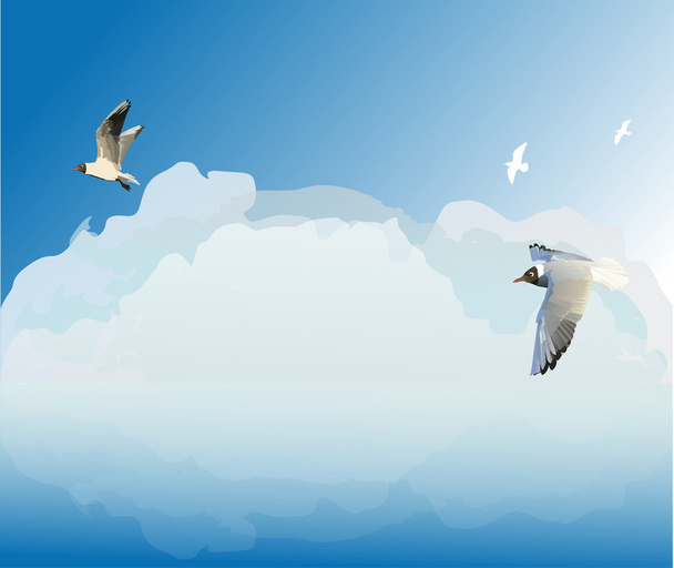 чайки в облачном небе
 - Вектор,изображение