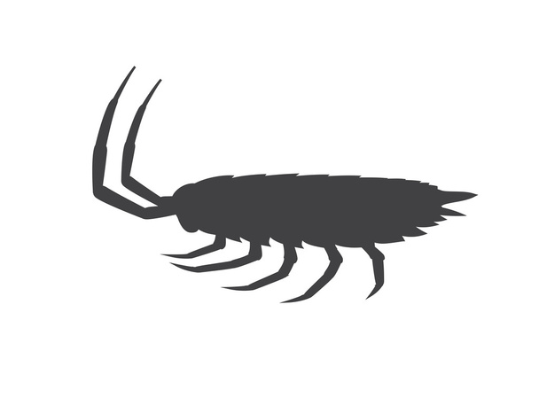 Tespih böceği böcek siluet - Vektör, Görsel