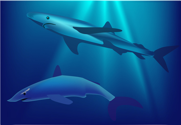 青い海の図の 2 つのサメ - ベクター画像