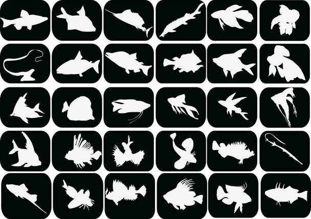 conjunto de peces blancos en negro
 - Vector, imagen