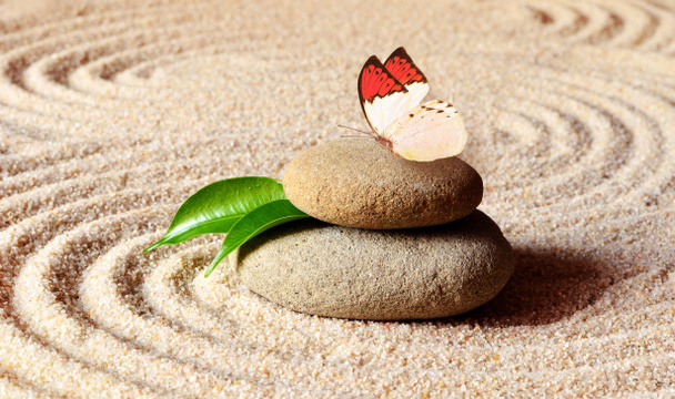 Πεταλούδα σε μια πέτρα zen με κύκλο στην άμμο. - Φωτογραφία, εικόνα