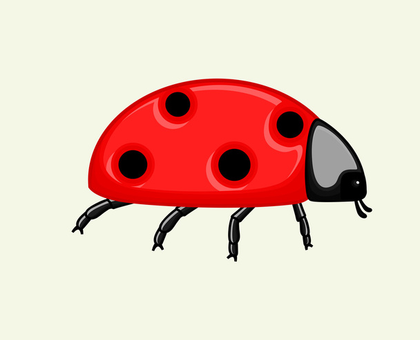 Funny Ladybird
 - Вектор,изображение