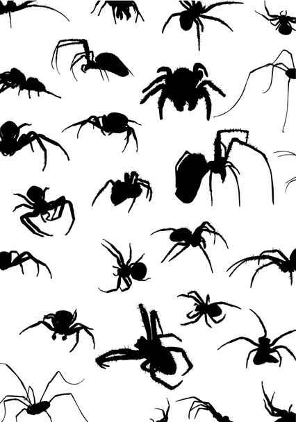 background with black spiders - Vector, Image