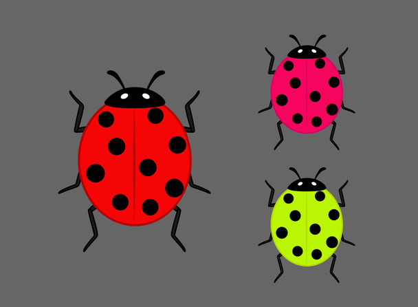 Kleurrijke lieveheersbeestje insecten - Vector, afbeelding