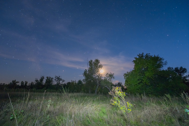 night sky above a prairie - Zdjęcie, obraz