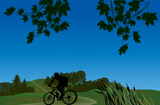 cyclist in green landscape - Vector, Image