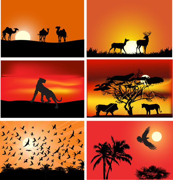 a naplemente kompozíciók hat állatok beállítása - Vektor, kép