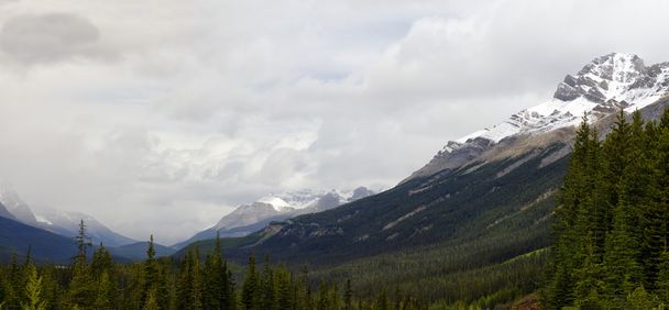 Parkway van het Columbia-ijsveld in het Nationaal Park Jasper, Alberta, Canada - Foto, afbeelding