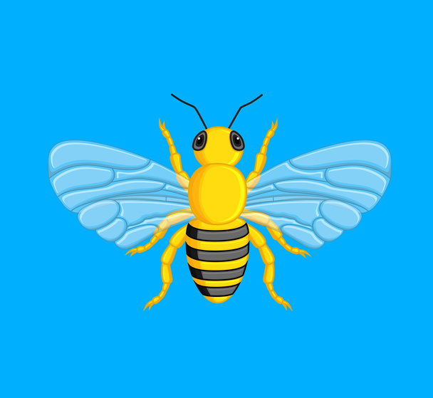 Bal arısı vektör - Vektör, Görsel