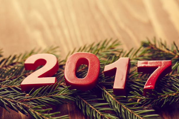 2017 New Year symbol with  fir tree  - Photo, Image