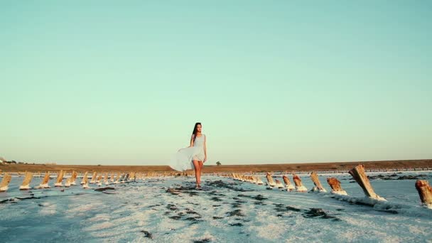 珍しい場所の青いドレスの若い、美しい女の子。モデルの周りの道路に白とピンクの塩。ウクライナ ヘルソン地域の塩湖. - 映像、動画