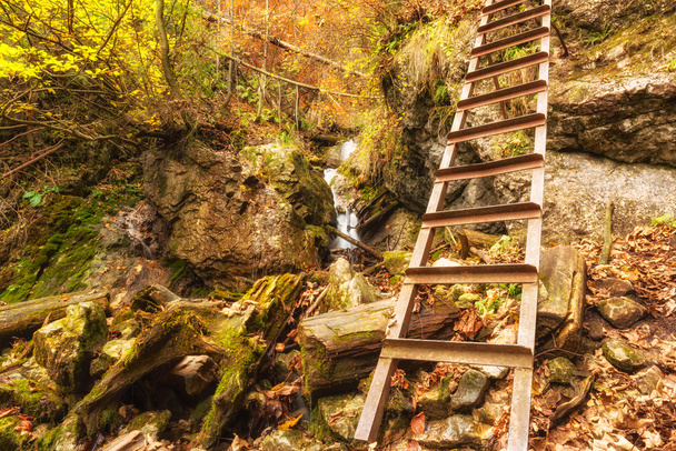 Sendero de senderismo en el bosque montañoso de otoño con cascada y escalera
 - Foto, Imagen