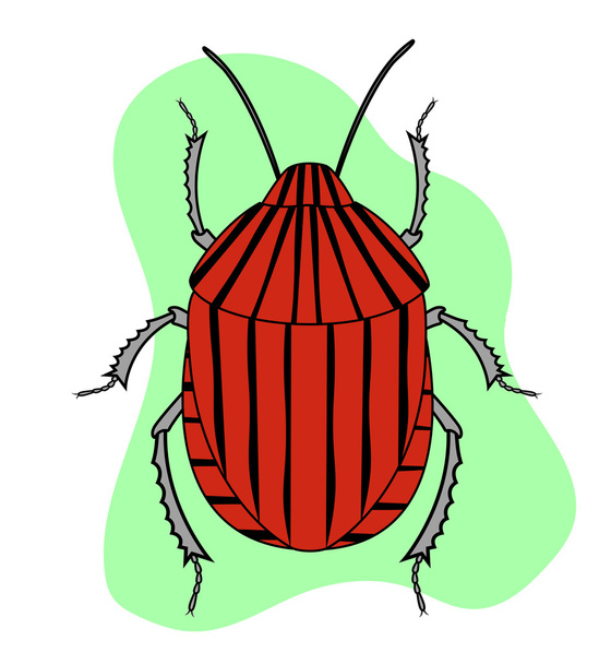Red Striped Beetle Insect - Vector, Image