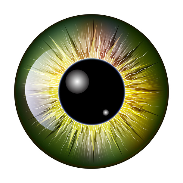 目、瞳孔、虹彩、ベクター シンボル アイコン デザイン。美しいイラスト - ベクター画像