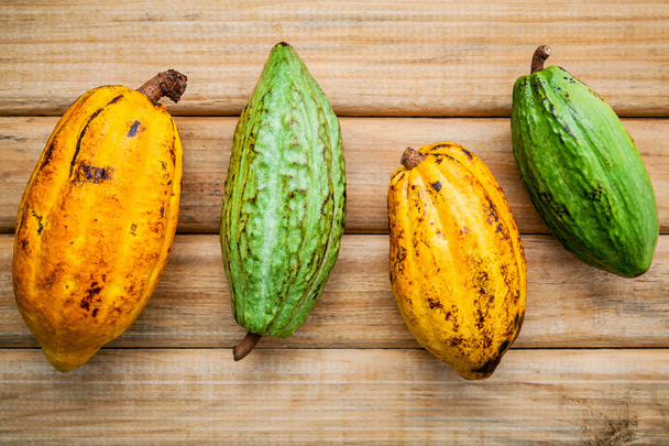 Ripe Indonesia's cocoa pod  setup on rustic wooden background. - Photo, Image