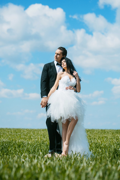 wedding couple on green grass and blue sky - Fotografie, Obrázek