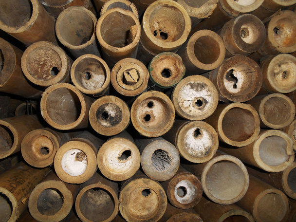 Troncos de bambú de textura
 - Foto, imagen