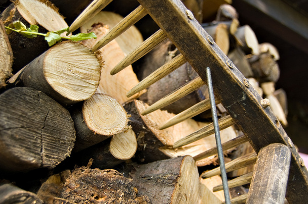 Stacked wood logs and rake - Photo, Image