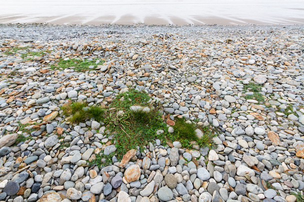 Кам'янисті пляжі, під час відливу - Фото, зображення