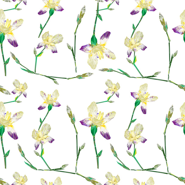 Patrón de flores de iris
 - Foto, Imagen