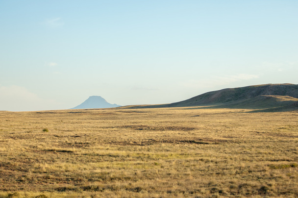 Stepní v létě. Střední Asie, Kazachstán - Fotografie, Obrázek
