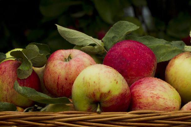 Red apples in wooden wicker basket - Foto, Imagem