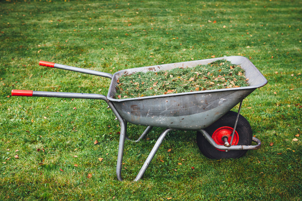 wheelbarrow with grass on green lawn background - Photo, Image