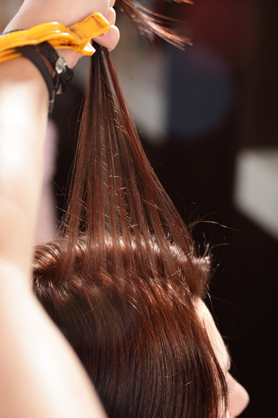 hair care in modern beauty salon - Foto, Imagen