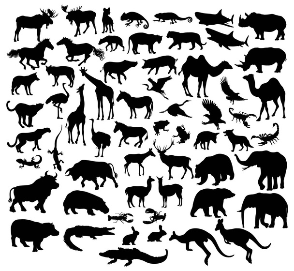 verschiedene Silhouetten von Wildtieren und Nutztieren - Vektor, Bild