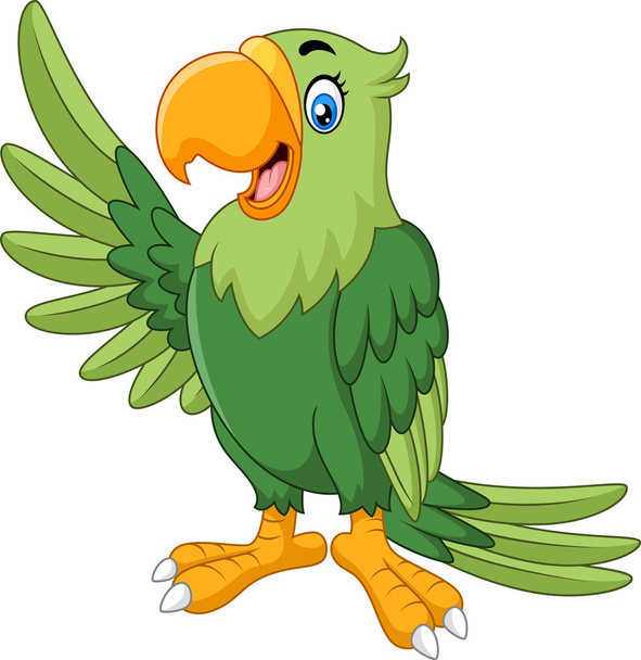 Cartoon funny parrot presenting - Vector, Image
